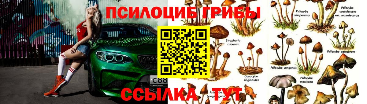 Псилоцибиновые грибы мухоморы Энгельс
