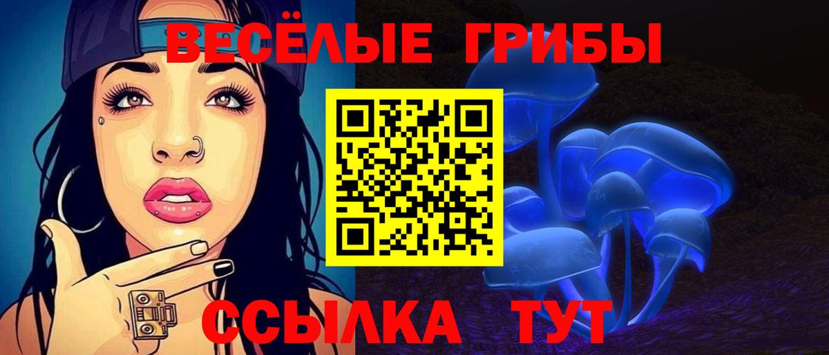 Энгельс  Псилоцибиновые грибы мицелий  Галлюциногенные грибы мухоморы  Вход с VPN 